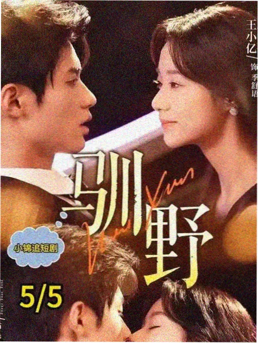 长夜将尽 热播剧集海报