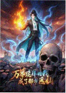 夜航西飞 动漫番剧封面